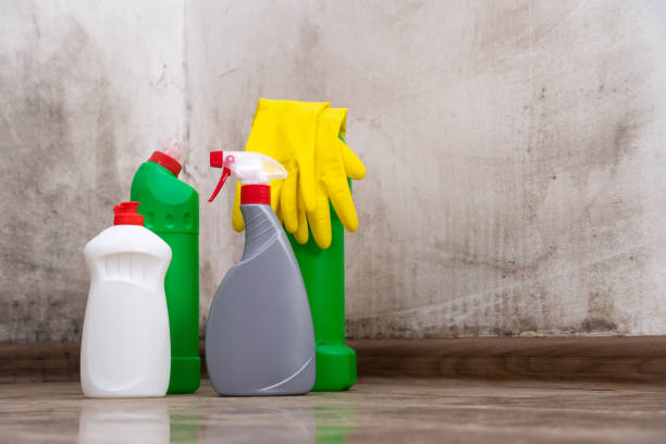 Why You Should Choose Our Mold Remediation Services in Montgomeryville, PA